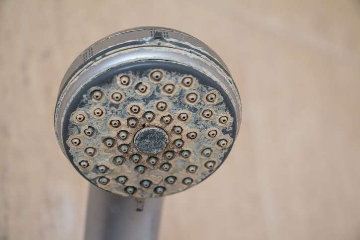 Clogged Faucets and Showerhead