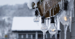 Bulbs Covered in Ice
